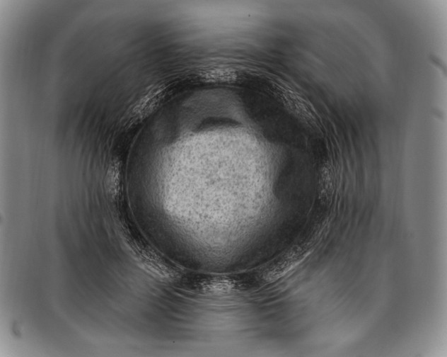 X0000096680600200802191354