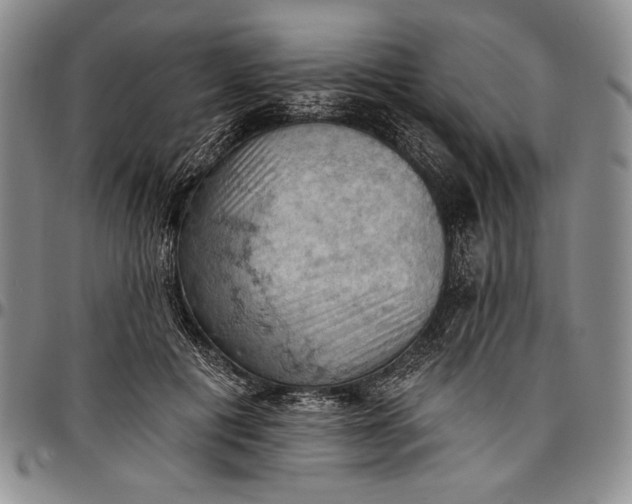 X0000096680601200802191354