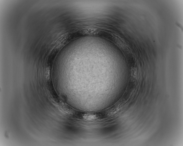X0000096680602200802191354