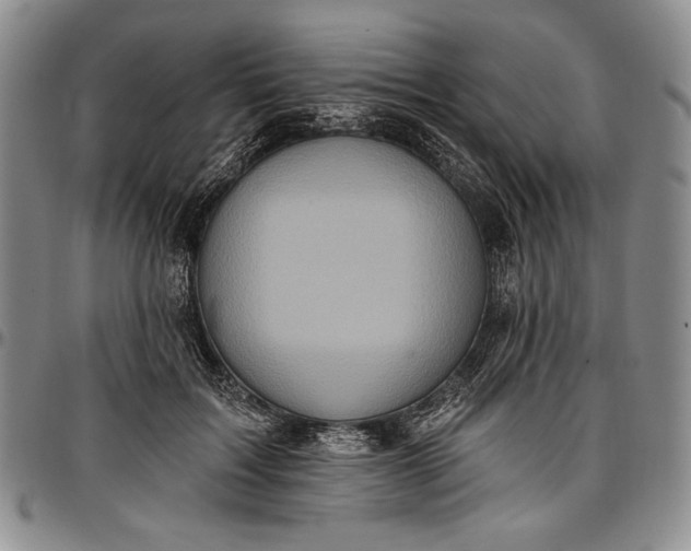 X0000096680603200802191354