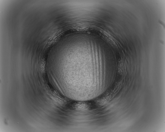 X0000096680604200802191354