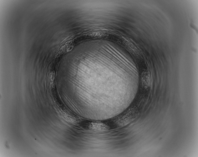X0000096680605200802191354