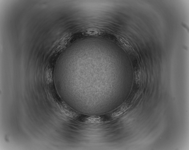 X0000096680606200802191354