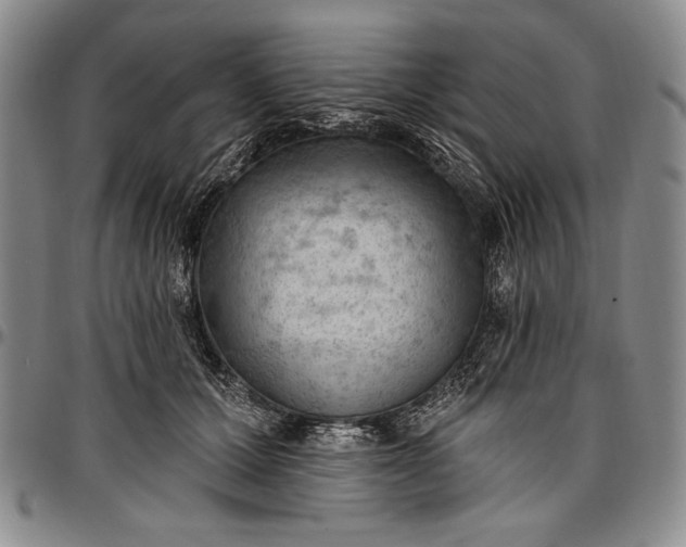 X0000096680607200802191354