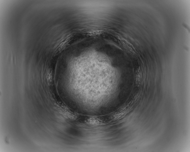 X0000096680608200802191354