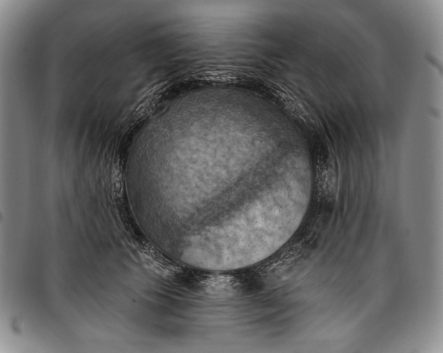 X0000096680609200802191354