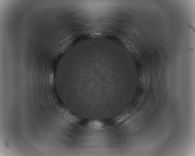X0000096680610200802191354