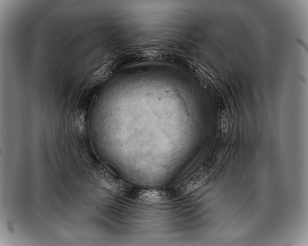 X0000096680611200802191354