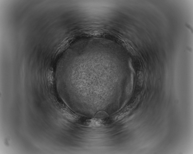 X0000096680612200802191354