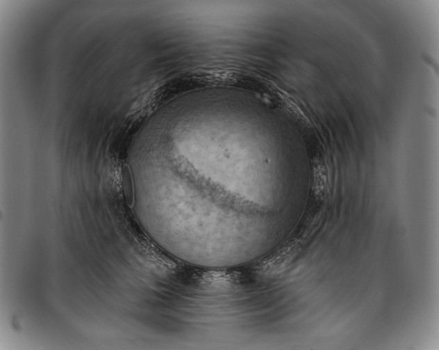 X0000096680613200802191354
