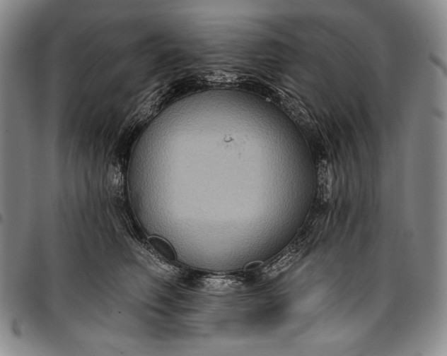 X0000096680614200802191354