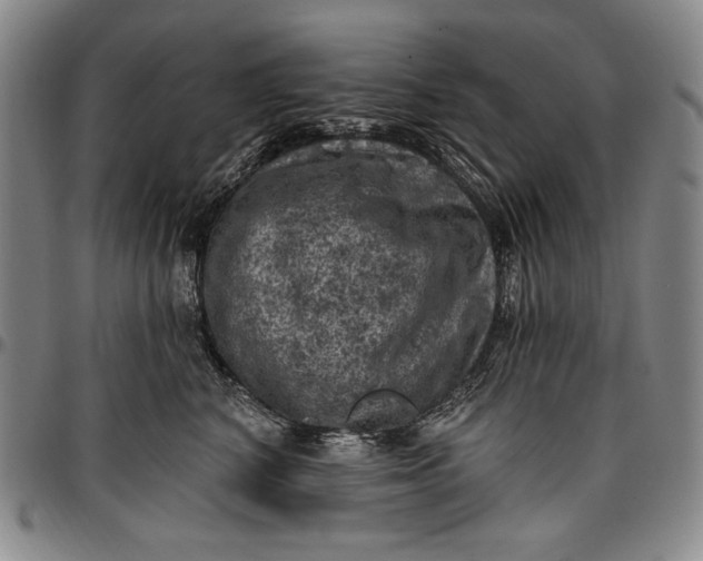 X0000096680616200802191354