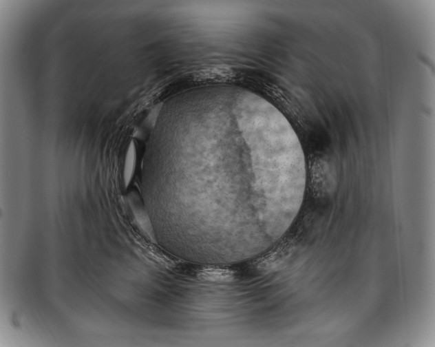 X0000096680617200802191354