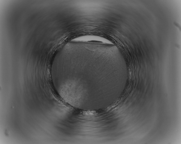 X0000096680618200802191354