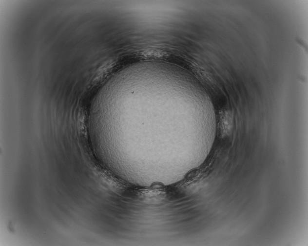 X0000096680619200802191354
