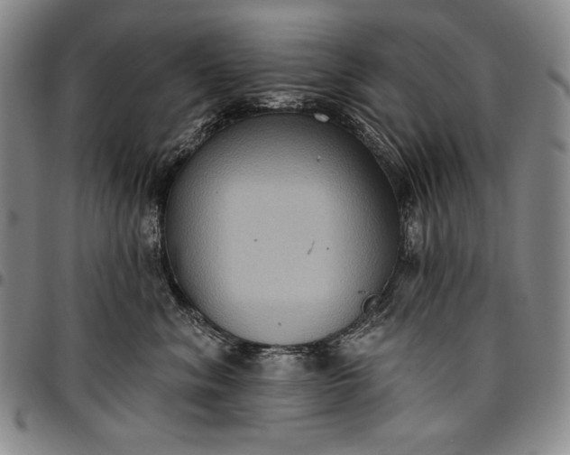 X0000096680620200802191354