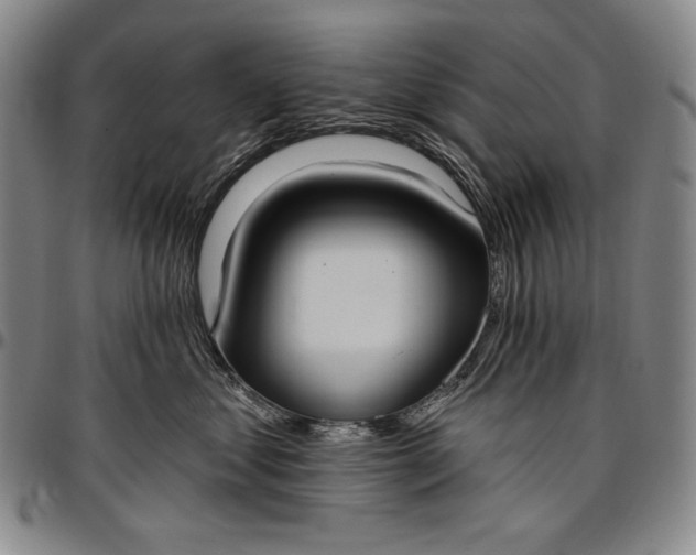 X0000096680621200802191354