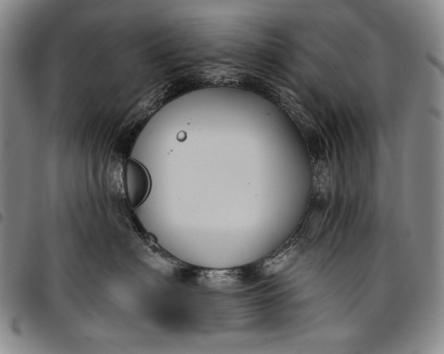 X0000096680622200802191354