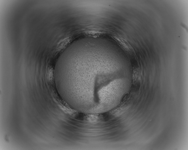 X0000096680623200802191354