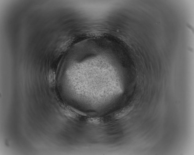 X0000096680624200802191354