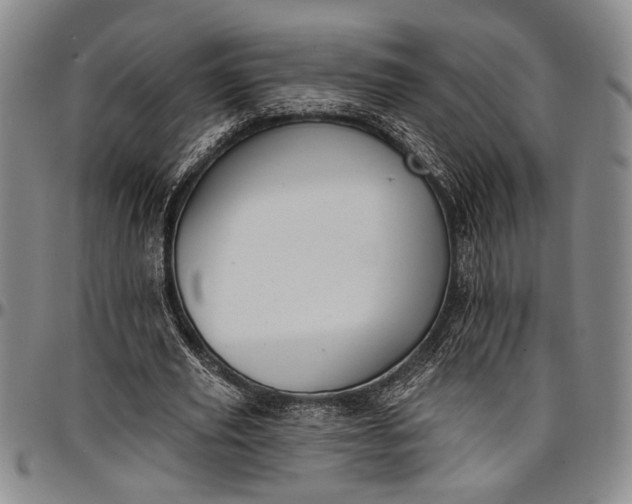 X0000096680629200802191353