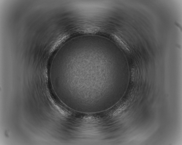 X0000096680634200802191353