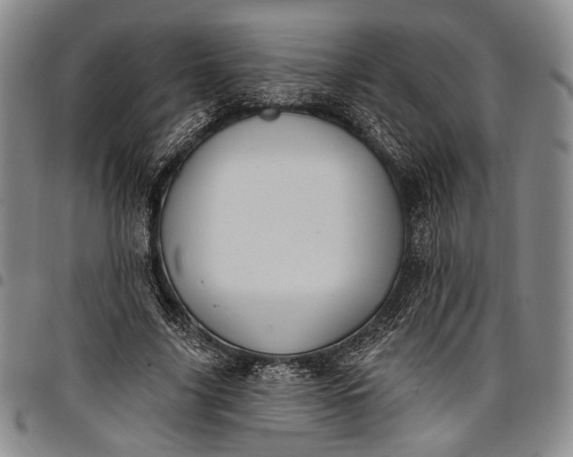 X0000096680635200802191353