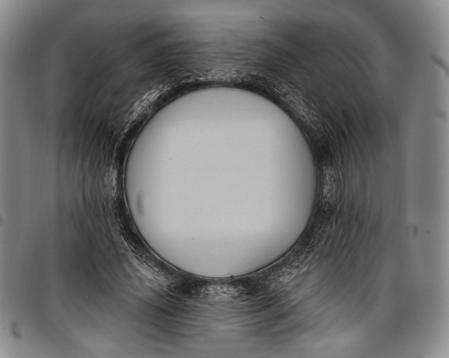X0000096680636200802191353