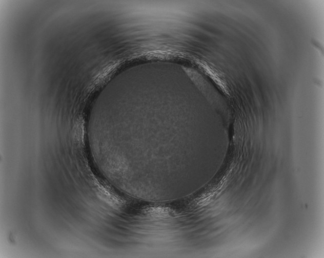 X0000096680637200802191353