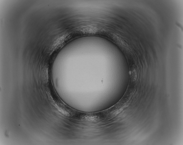 X0000096680638200802191353