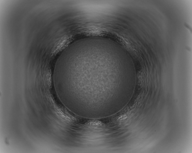 X0000096680642200802191353