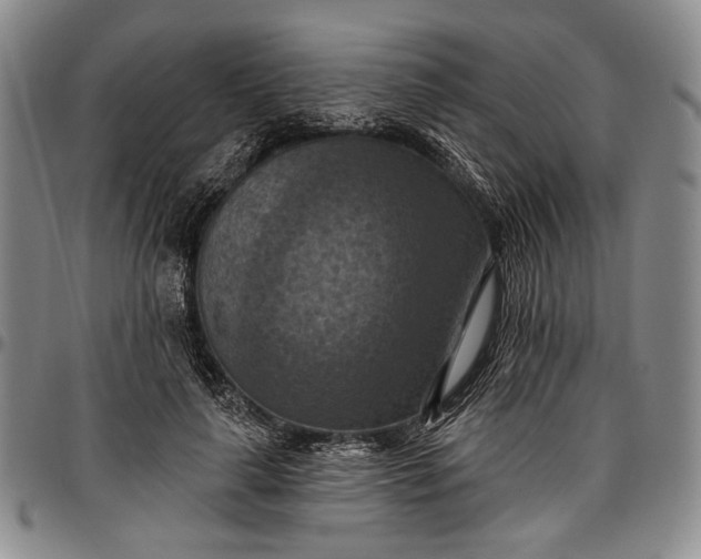 X0000096680643200802191353