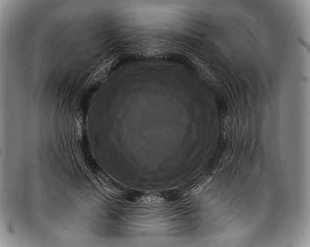 X0000096680644200802191353