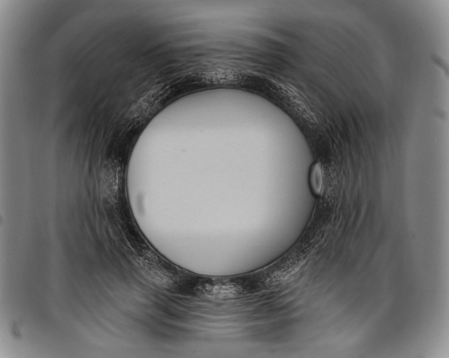 X0000096680645200802191353