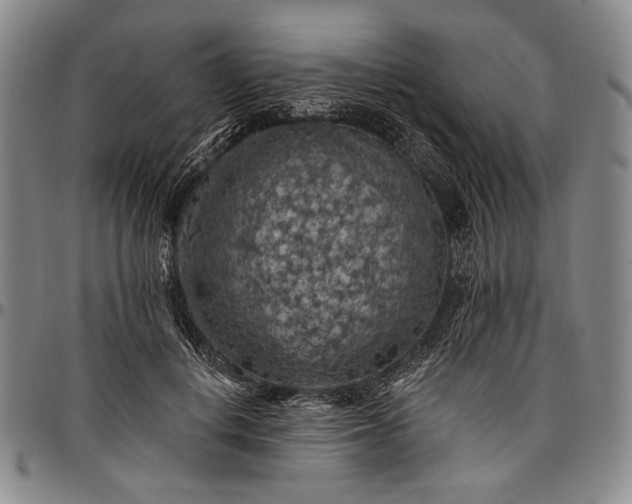 X0000096680648200802191353