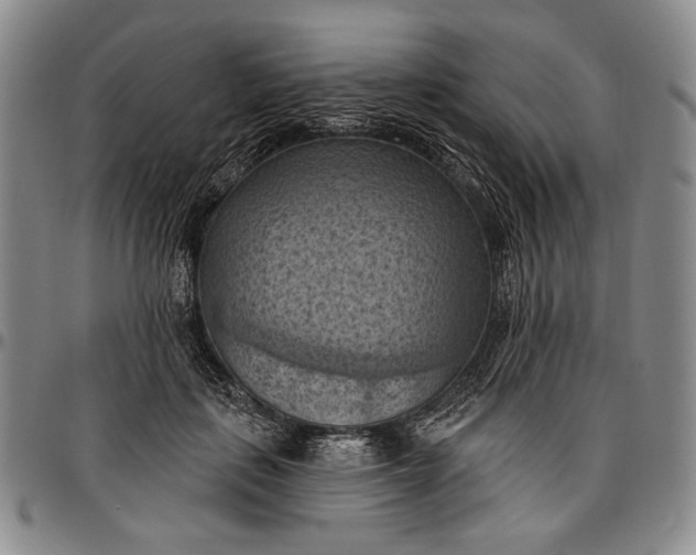 X0000096680651200802191353
