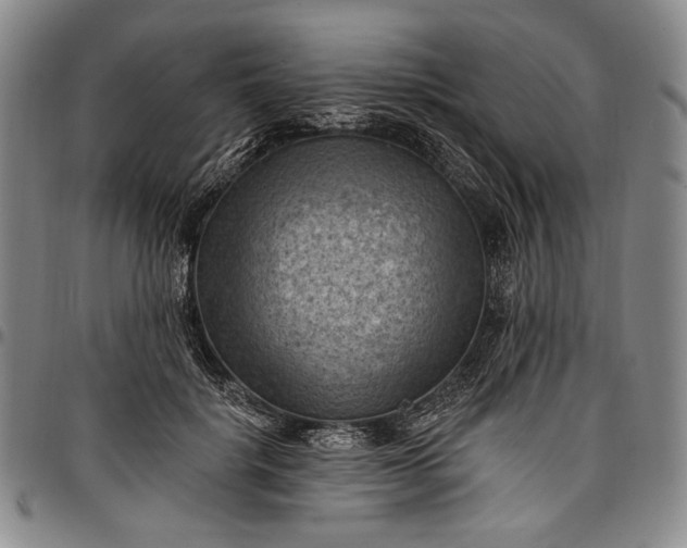 X0000096680652200802191353