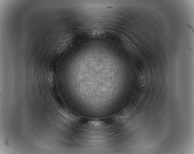 X0000096680654200802191353