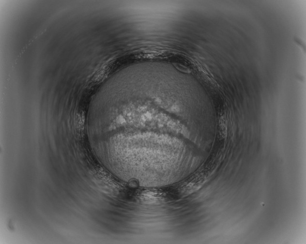 X0000096680657200802191353