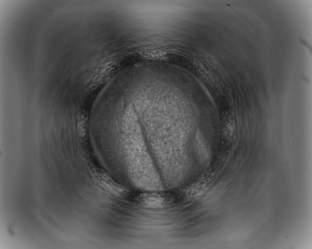 X0000096680658200802191353