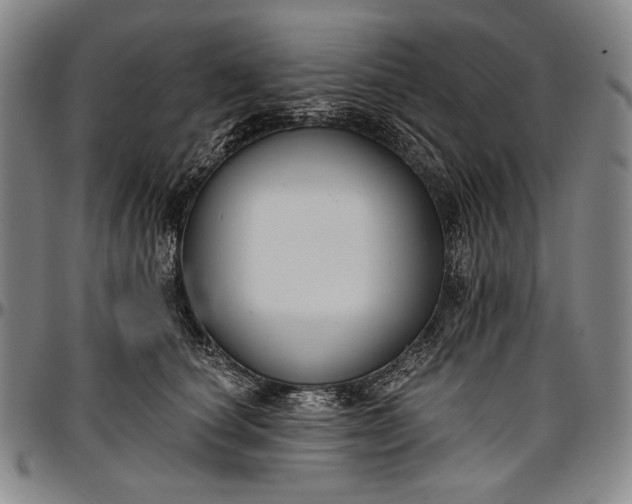 X0000096680660200802191353