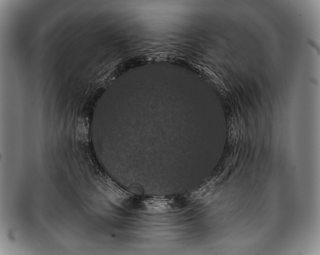 X0000096680661200802191354