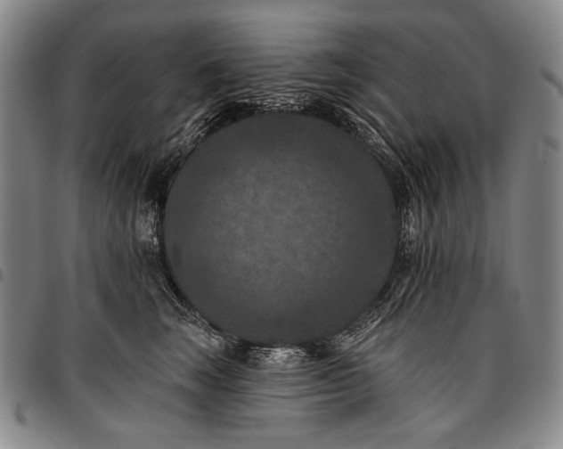 X0000096680663200802191354