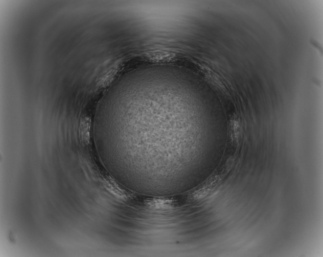 X0000096680664200802191354