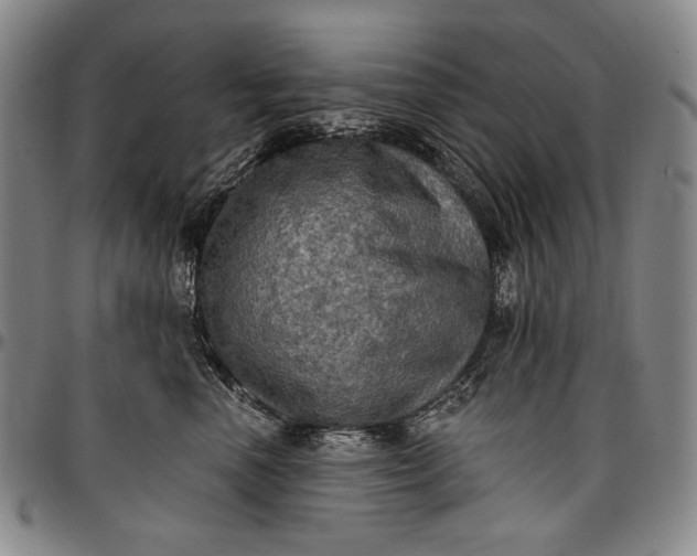 X0000096680666200802191354