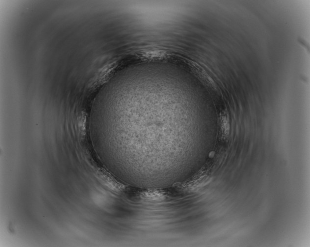 X0000096680668200802191354