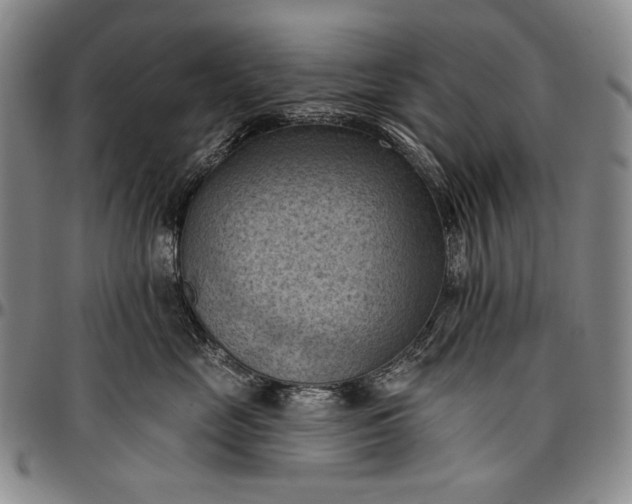 X0000096680669200802191354