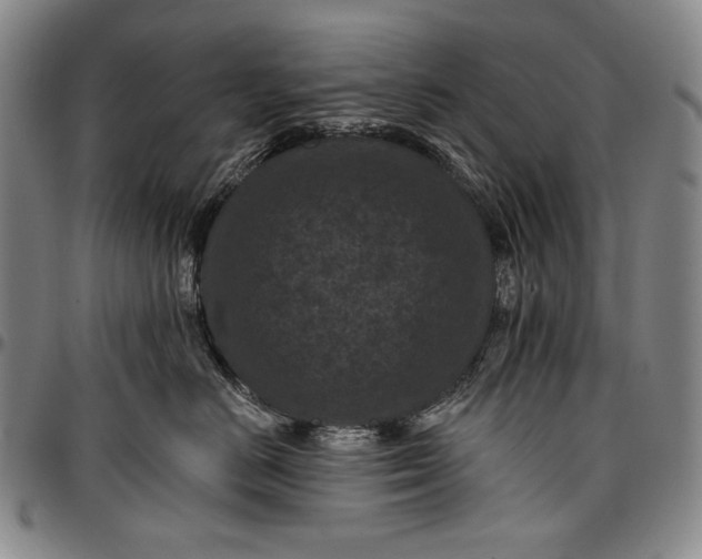 X0000096680670200802191354