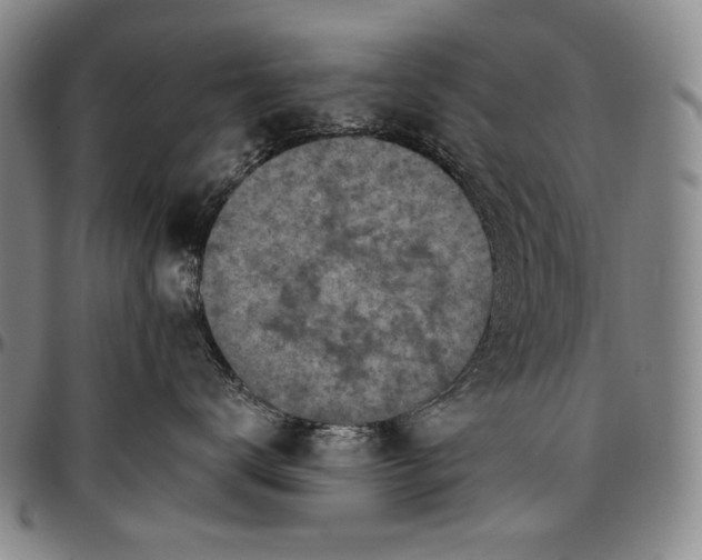 X0000096680672200802191354