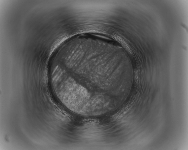 X0000096680676200802191353
